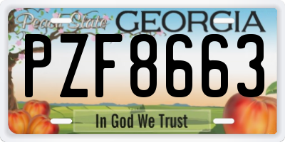 GA license plate PZF8663