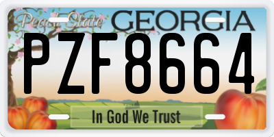 GA license plate PZF8664