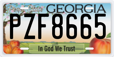 GA license plate PZF8665