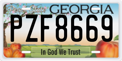 GA license plate PZF8669