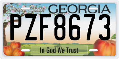 GA license plate PZF8673