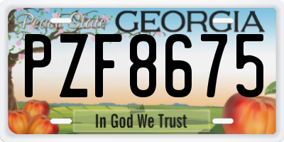 GA license plate PZF8675