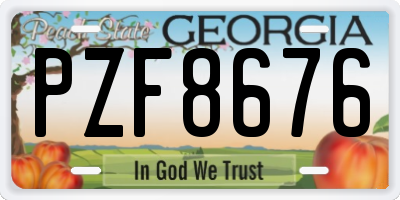 GA license plate PZF8676