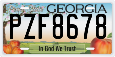 GA license plate PZF8678