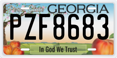 GA license plate PZF8683