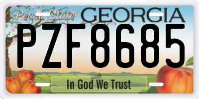 GA license plate PZF8685
