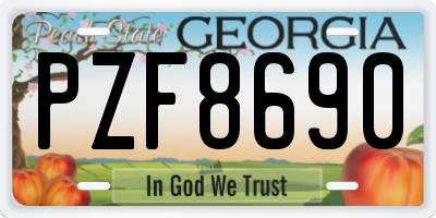 GA license plate PZF8690