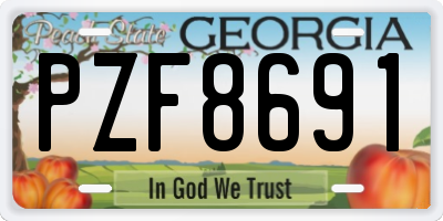 GA license plate PZF8691