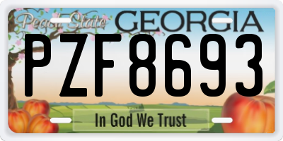 GA license plate PZF8693