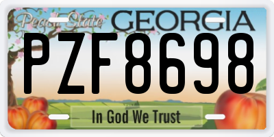 GA license plate PZF8698