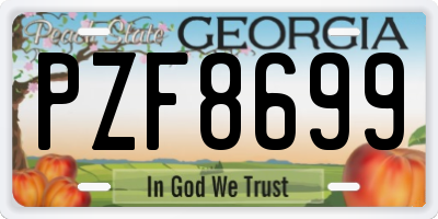 GA license plate PZF8699