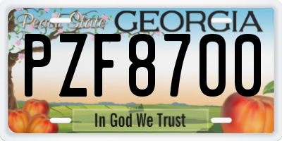 GA license plate PZF8700