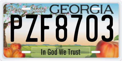 GA license plate PZF8703
