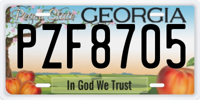 GA license plate PZF8705
