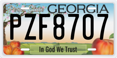 GA license plate PZF8707