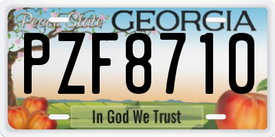 GA license plate PZF8710
