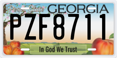 GA license plate PZF8711