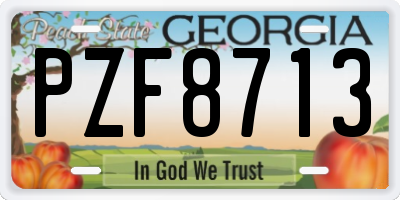 GA license plate PZF8713
