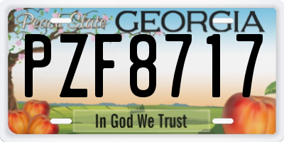 GA license plate PZF8717