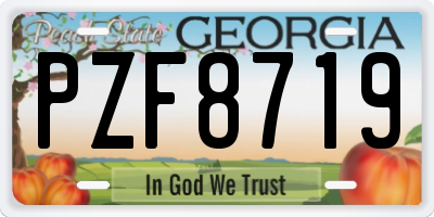 GA license plate PZF8719