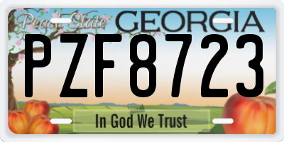 GA license plate PZF8723
