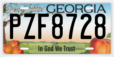 GA license plate PZF8728