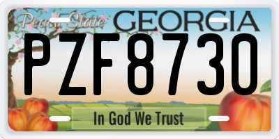 GA license plate PZF8730