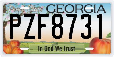 GA license plate PZF8731