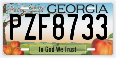 GA license plate PZF8733