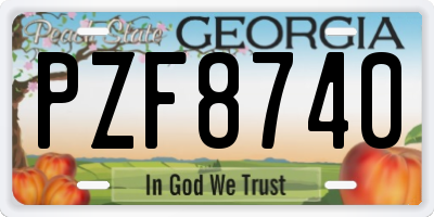GA license plate PZF8740