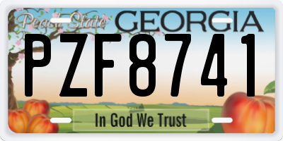 GA license plate PZF8741