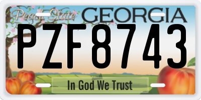 GA license plate PZF8743