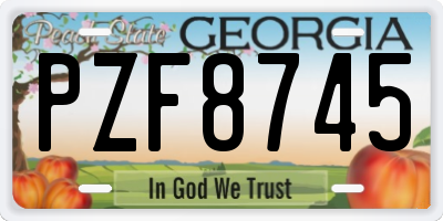 GA license plate PZF8745