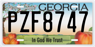 GA license plate PZF8747