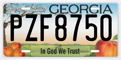 GA license plate PZF8750