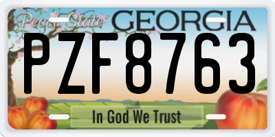 GA license plate PZF8763