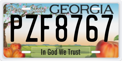 GA license plate PZF8767