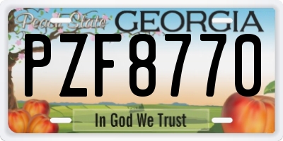 GA license plate PZF8770