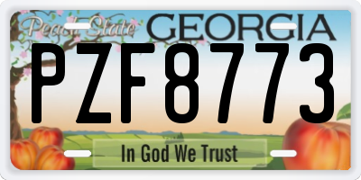 GA license plate PZF8773