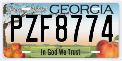 GA license plate PZF8774