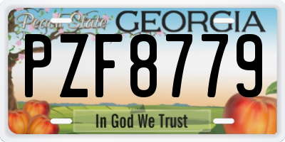 GA license plate PZF8779