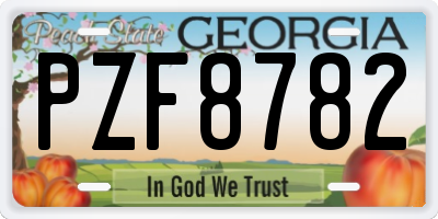 GA license plate PZF8782