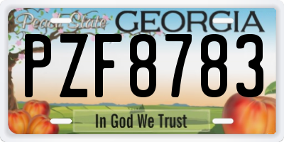GA license plate PZF8783