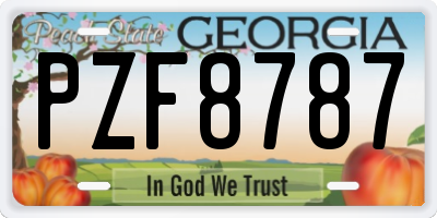 GA license plate PZF8787