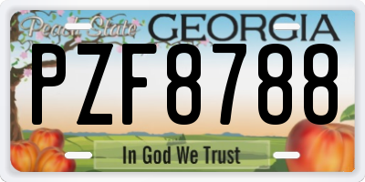 GA license plate PZF8788