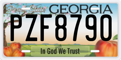 GA license plate PZF8790
