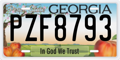GA license plate PZF8793
