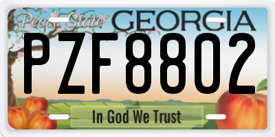 GA license plate PZF8802