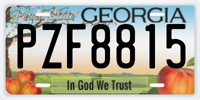 GA license plate PZF8815