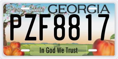 GA license plate PZF8817